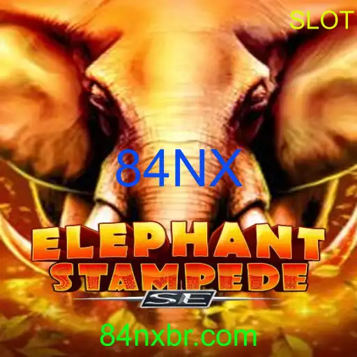 ElephantStampedeSE